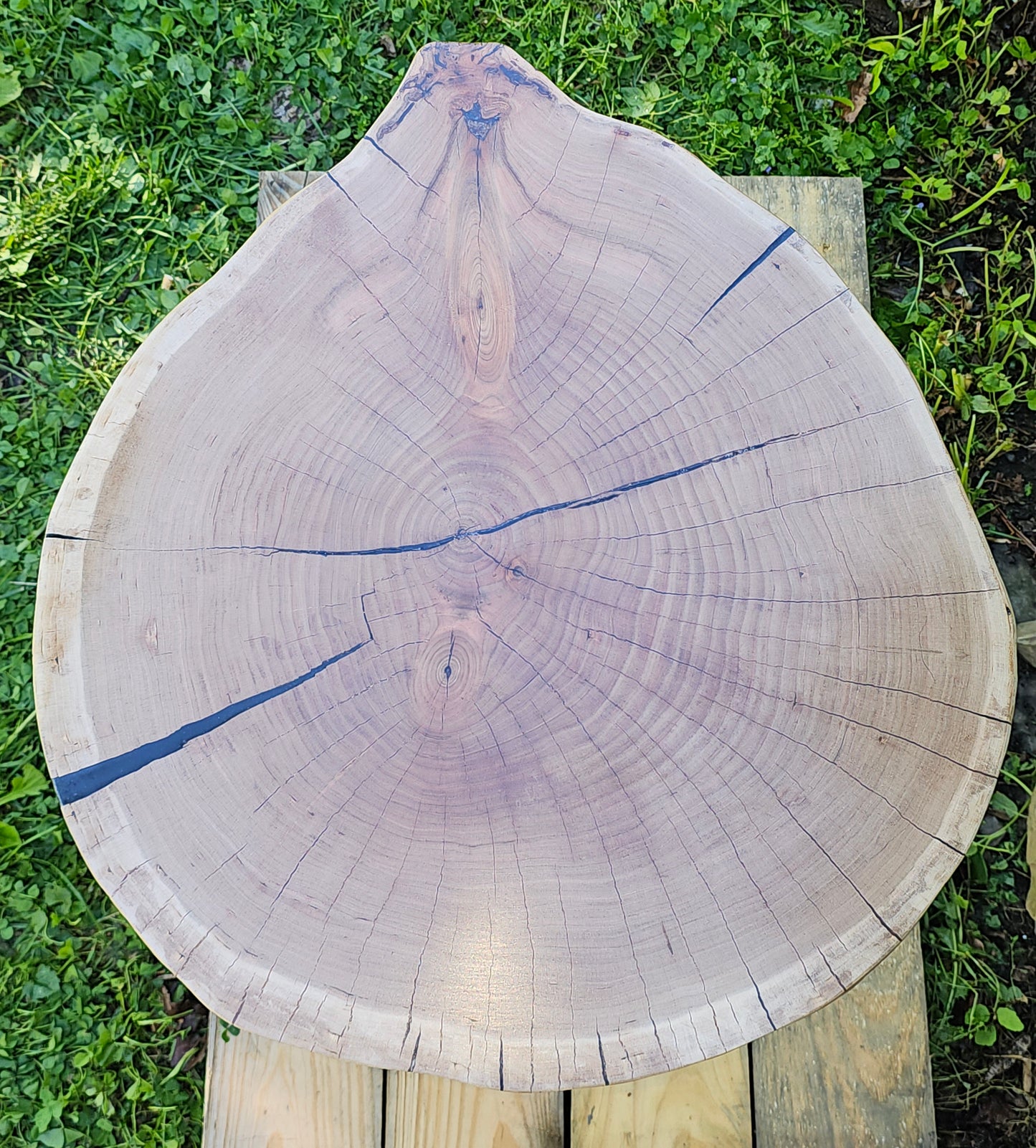 Live-Edge Cherry Slab Table
